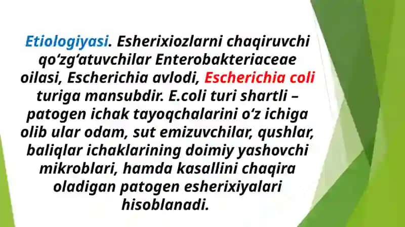 Esherixiozlar etiologiyasi, patogenezi va davolash 3
