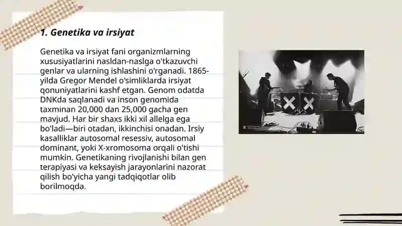Suyaklarning oʼsishi va rivojlanishiga taʼsir etuvchi omillar 3
