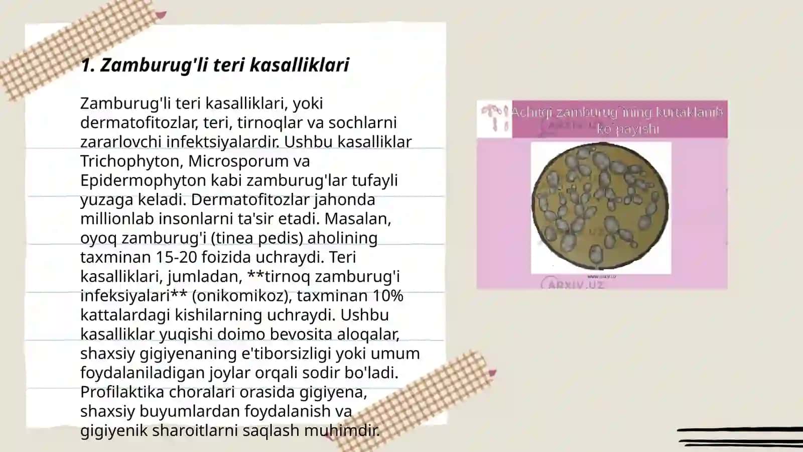 Zamburug'li teri kasalliklari 3