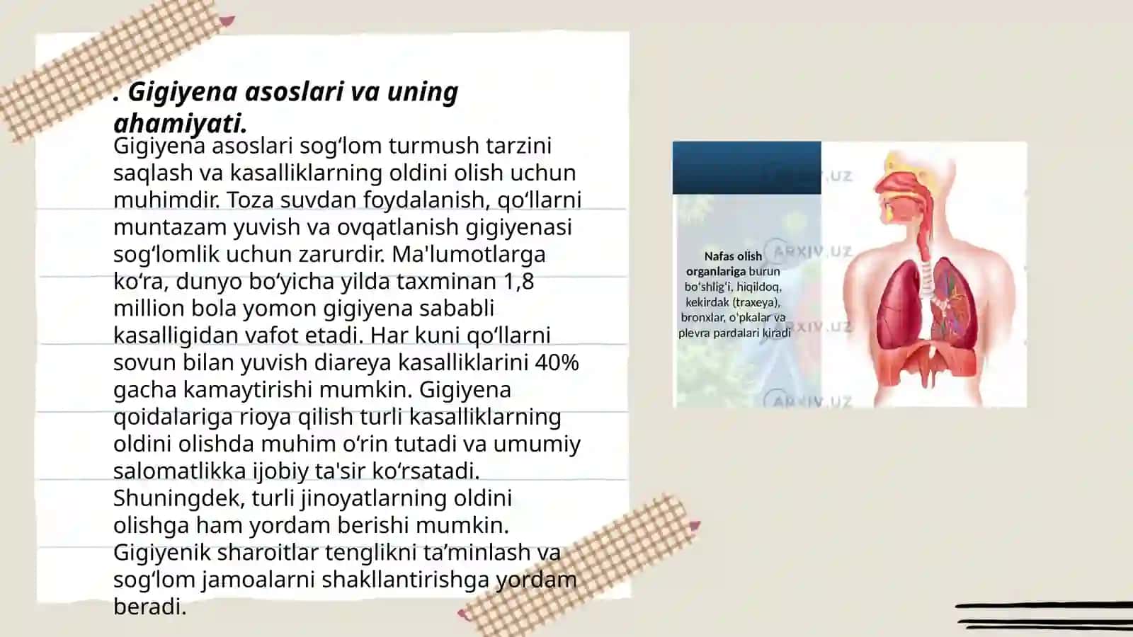 Taʼlim -tarbiya gigiyenasi qanday masalalarni o'z ichiga oladi? Kun tartibi va uning ahamiyati 3