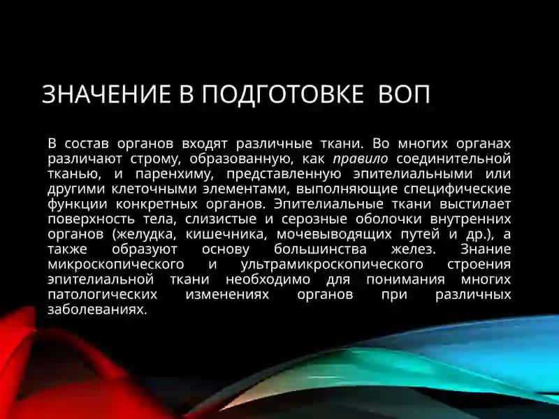 УЧЕНИЕ О ТКАНЯХ, ЭПИТЕЛИАЛЬНЫЕ ТКАНИ 3