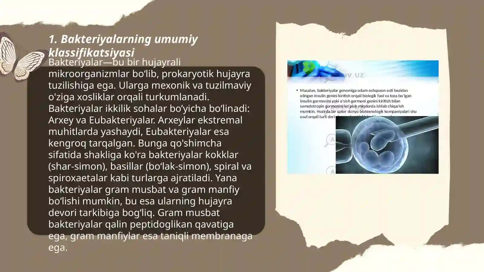 Bakteriyalar klassifikatsiyasi, toksonomiyasi, serologik xususiyatlarini oʻrganish 3