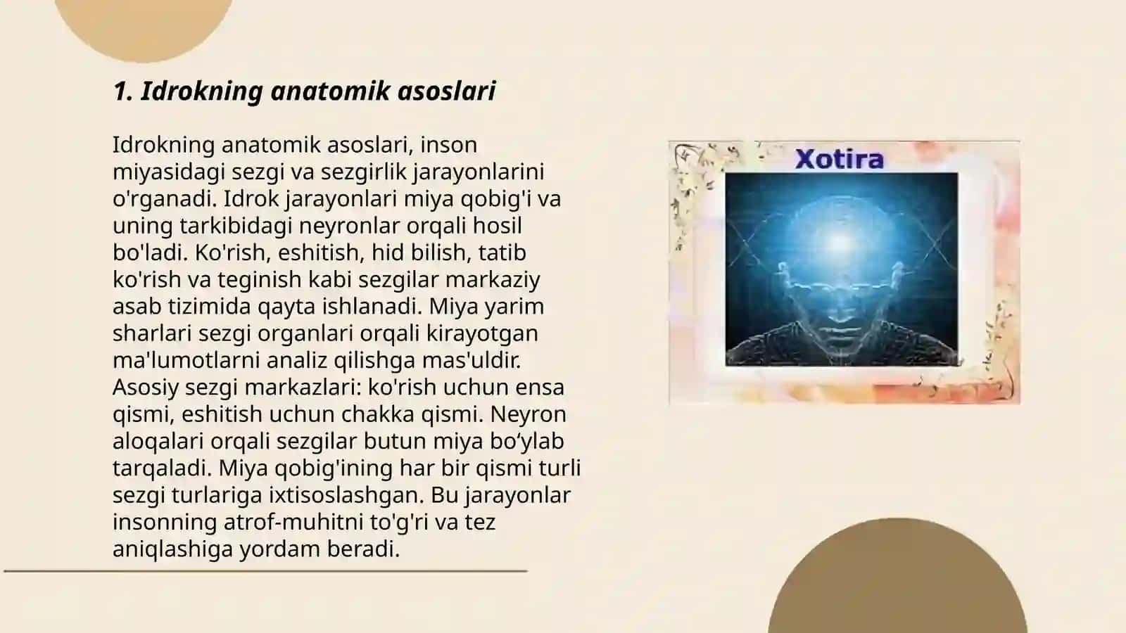 Idrok va xotira haqida tushuncha, uning nerv-fiziologik asosi 3