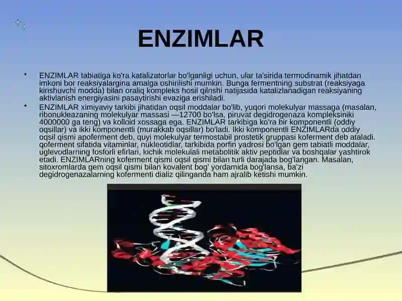 Enzimlar tuzilishi va ularning katalitik faolligi 3