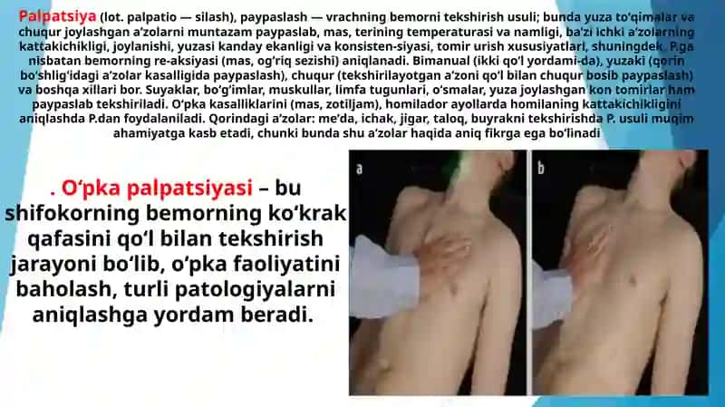 Amaliy ko’nikmalarni topshirish: O’pka palpatsiyasi 3