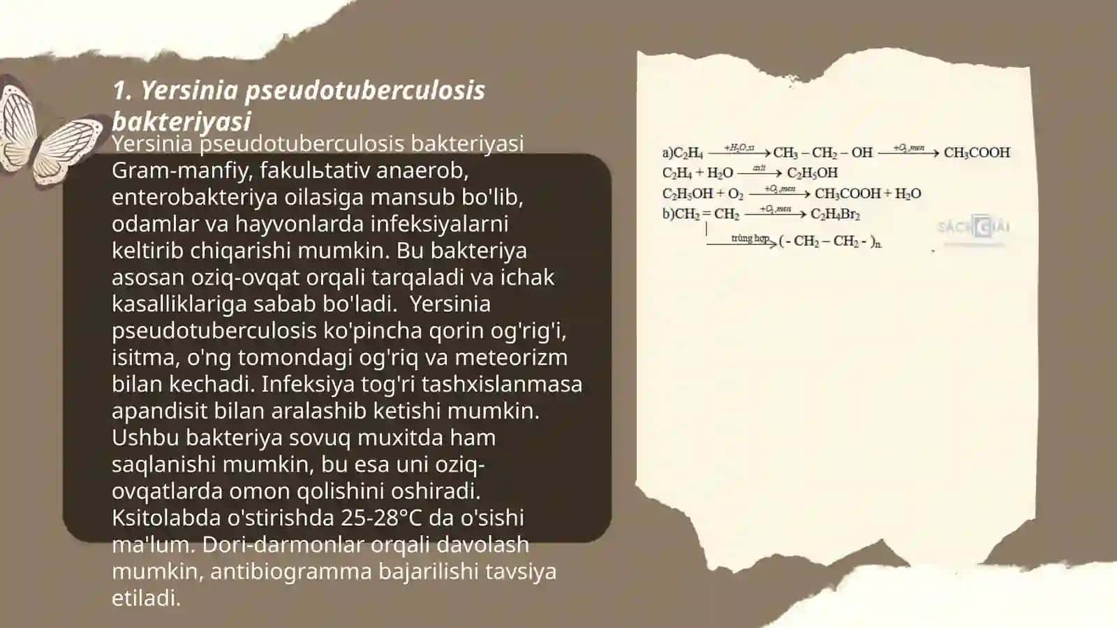 Psevdotuberkuloz qòzģatuvchisining laboratoriya diagnostikasi 3