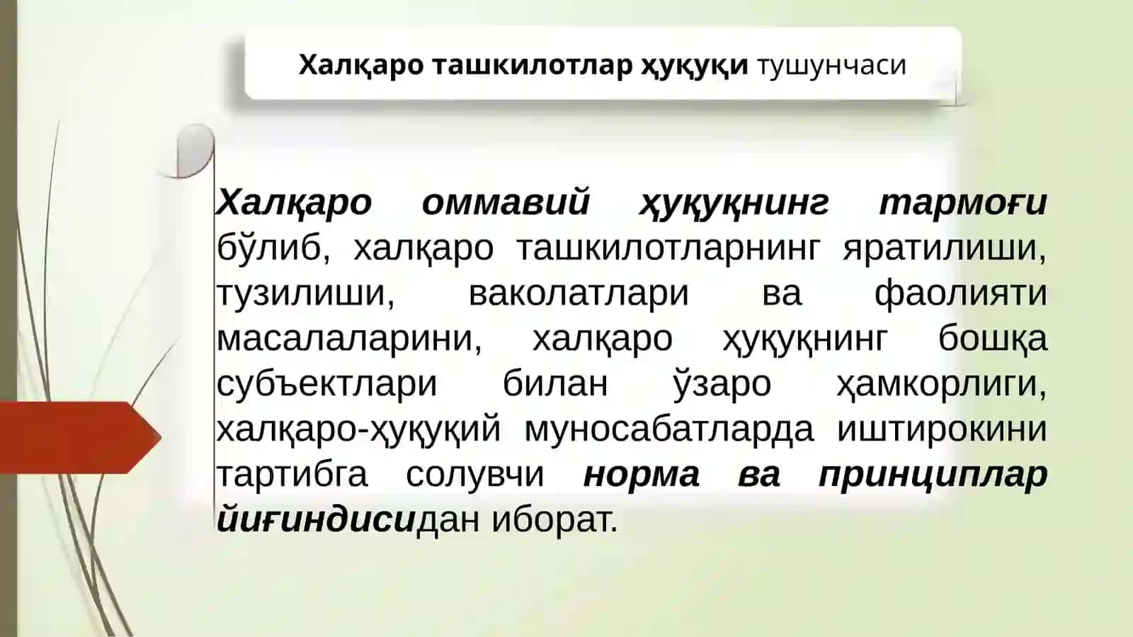 Халқаро ташкилотлар ҳуқуқи 3