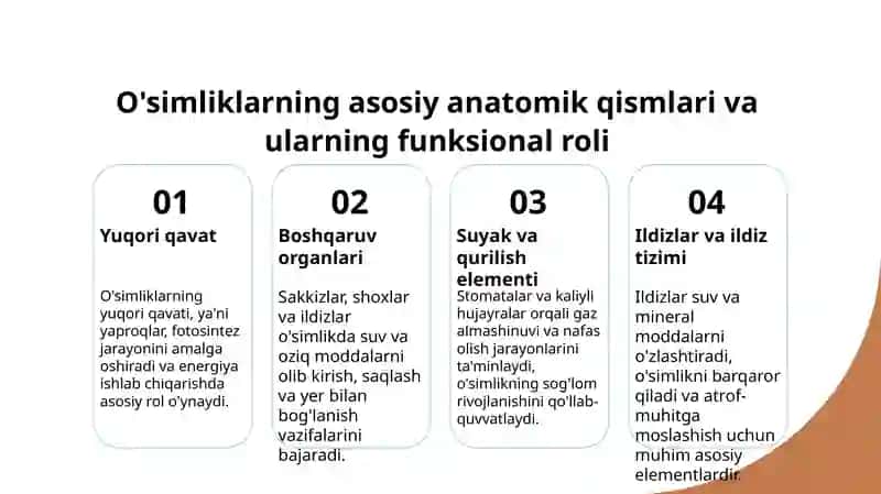 O'simliklar anatomiyasi va fiziologiyasi. 3