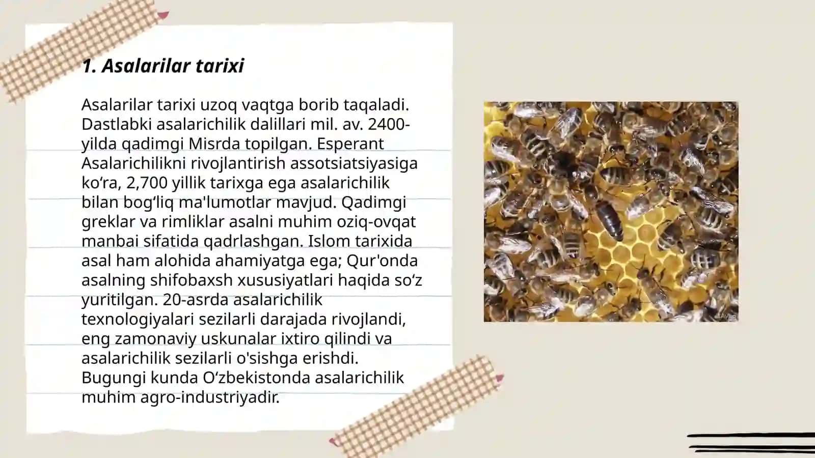 Asalarilar Tarixi 3