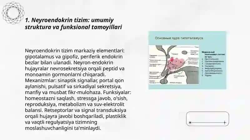 Neyroendokring tizimining struktur funksional tavsifi 3