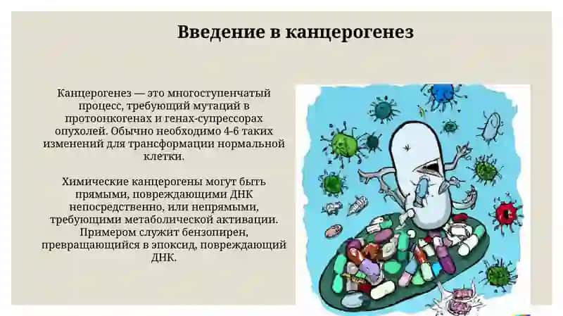 Канцерогенные агенты и их взаимодействие с клетками 3