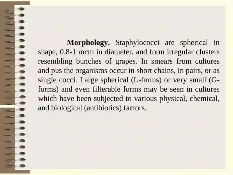 Chairof Microbiology, Virology, and Immunology 3