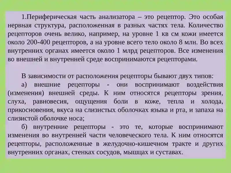 ВОЗРАСТНЫЕ ОСОБЕННОСТИ АНАЛИЗАТОРОВ И ЭНДОКРИННОЙ СИСТЕМЫ 3