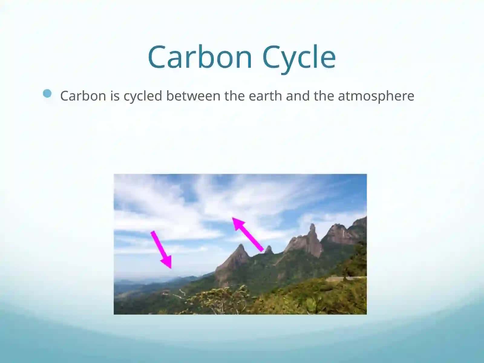 The Carbon Cycle 3