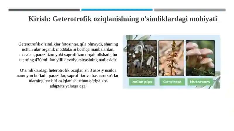 Oʻsimliklarning geterotrof oziqlanish usullari 3