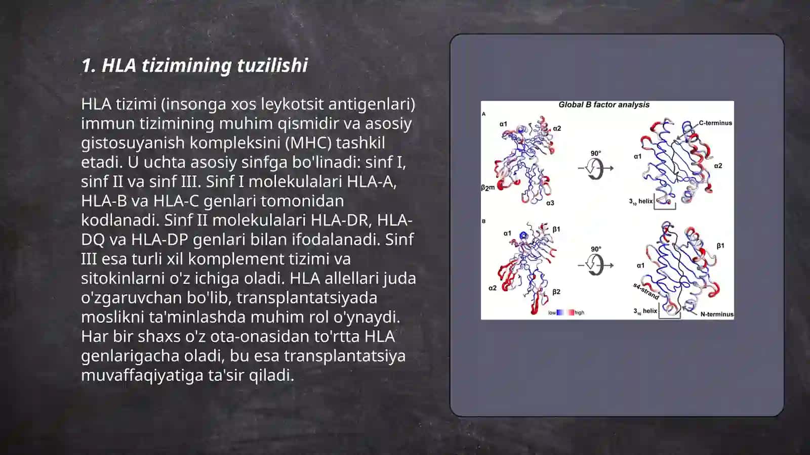 HLA-tizimi (MHC- tizimi). Komplement tizimi 3