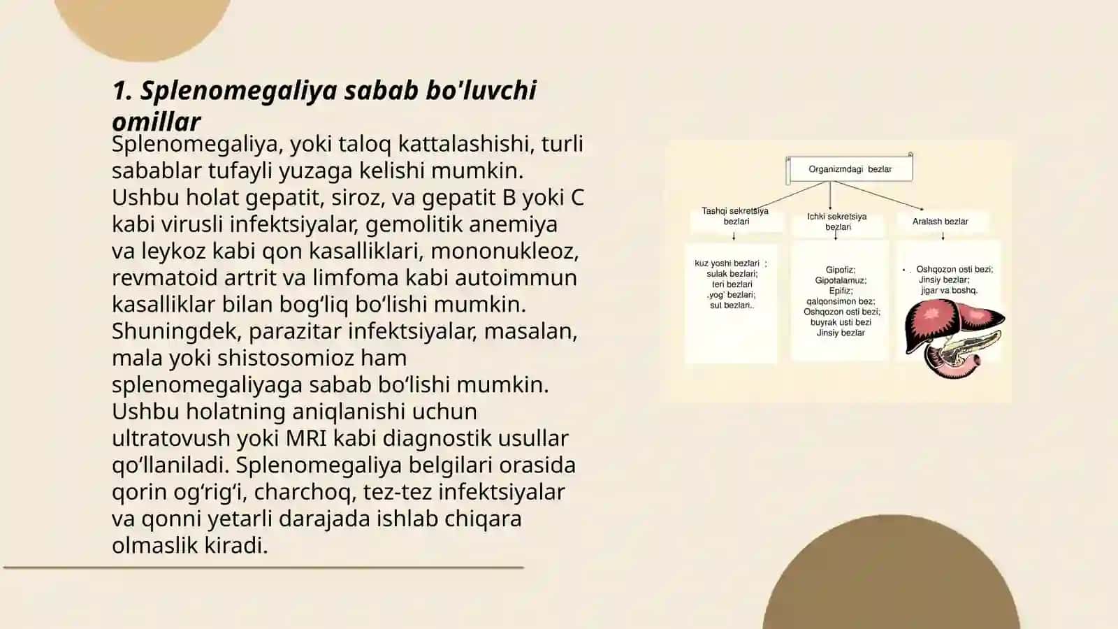 Splenomegaliya 3
