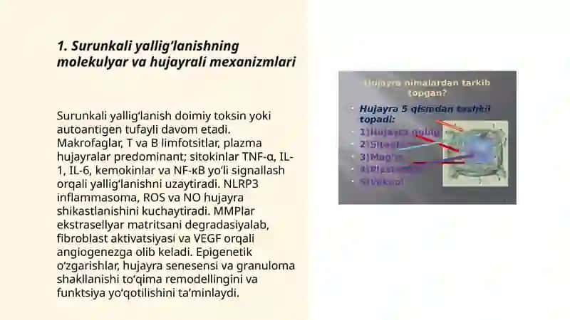 Surunkali yalligʻlanish. Yalligʻlanishning tizimli tasirlari. Hujayra reparatsiyasi 3