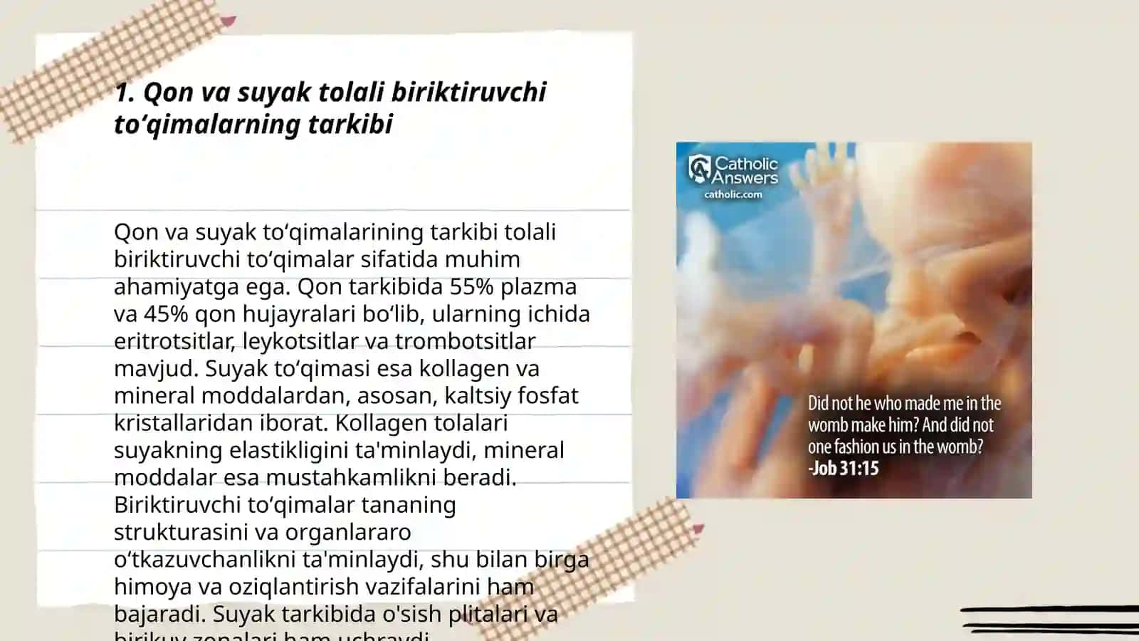 Qon va suyak tolali biriktiruvchi toʻqimalarning oʻzaro munosabati 3