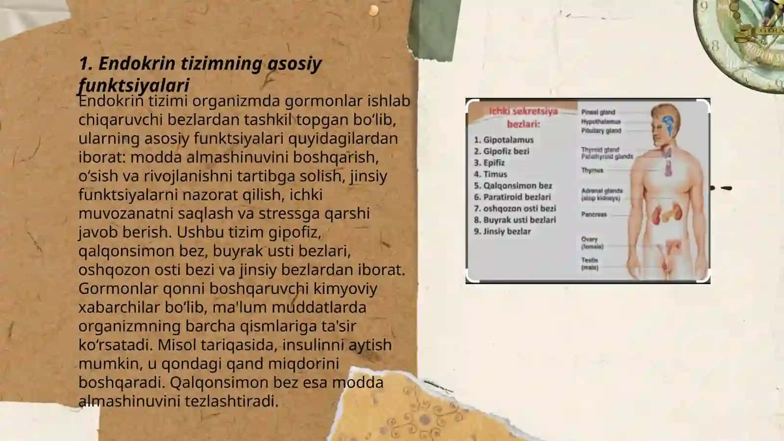 Endokrin tizimining inson organizmi va xulq atvorining ahamiyati 3