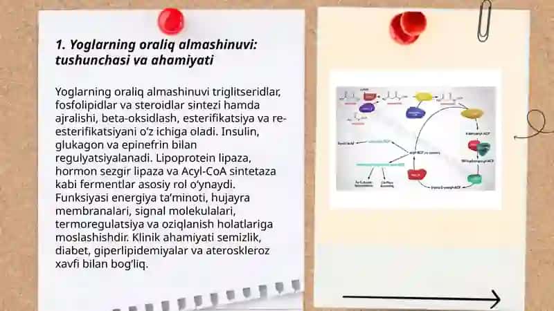 Yoglarning oraliq almashinuvi 3