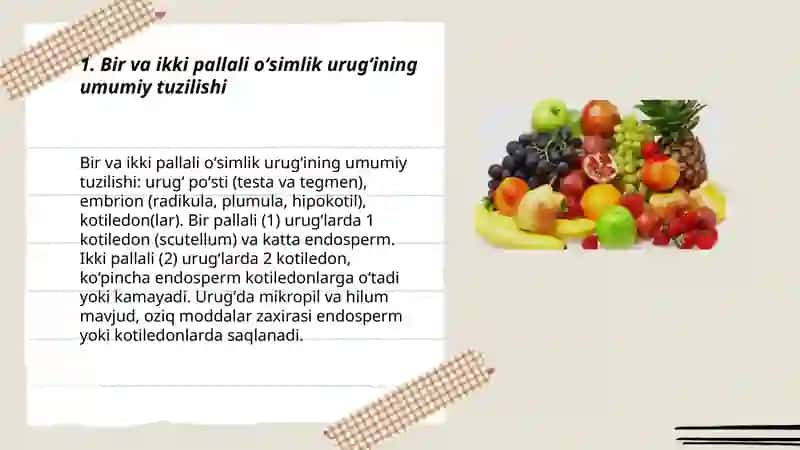 Bir va ikki pallali oʻsimliklar urugining tuzulishi 3