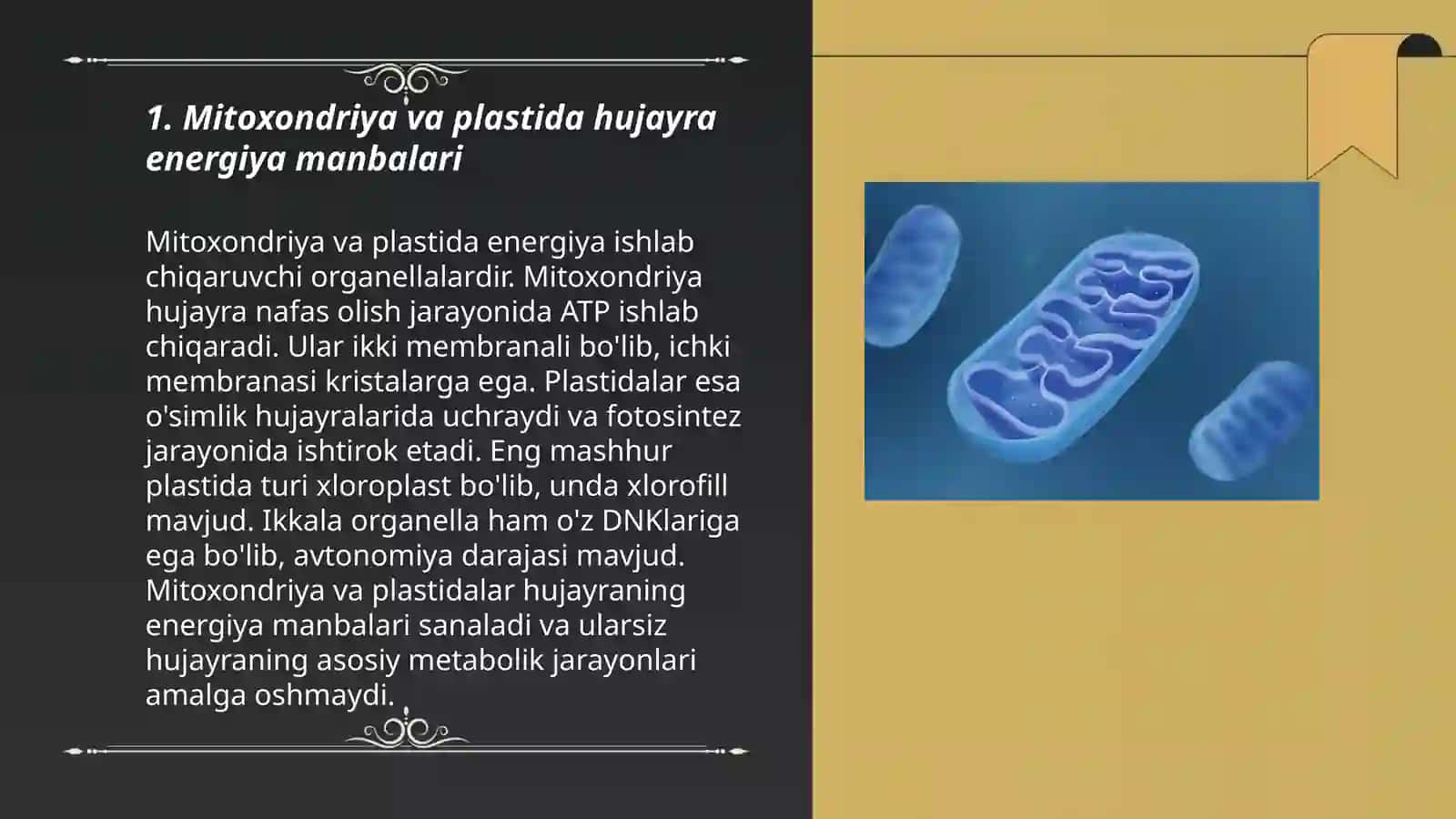 Mitoxondriya va plastida 3