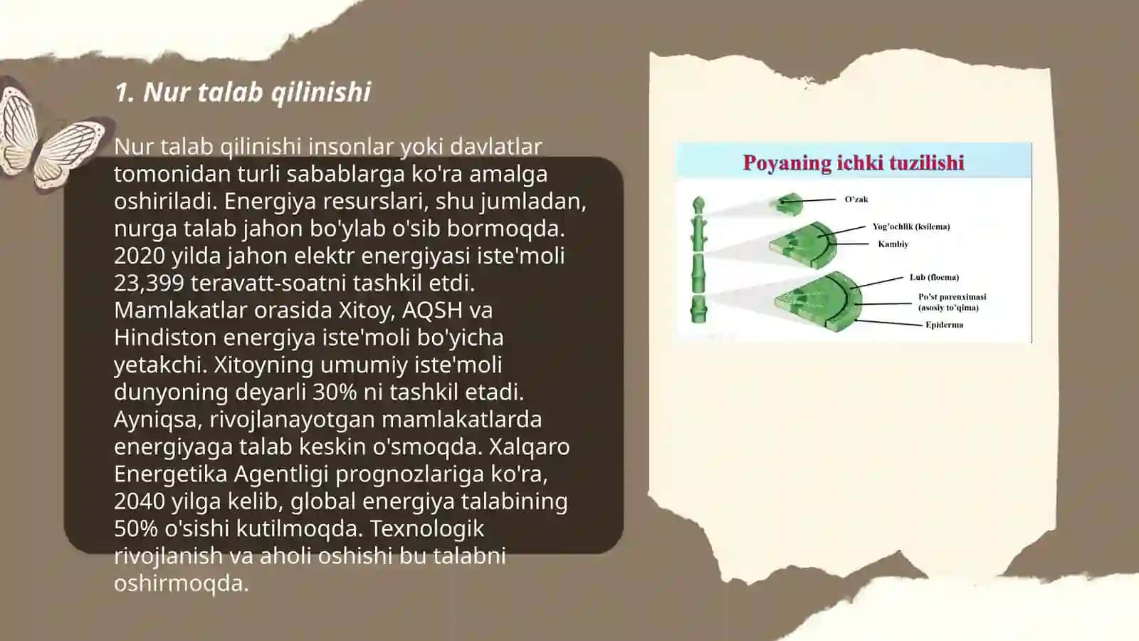 O'simliklar o'sishi uchun nimalar zarur 3