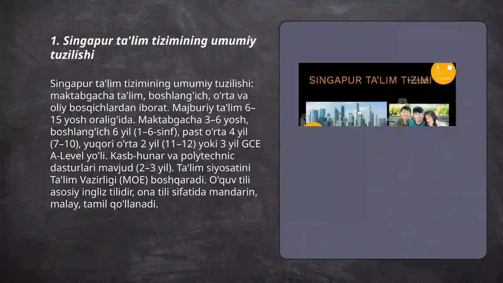 Singapur ta'lim tizimi 3