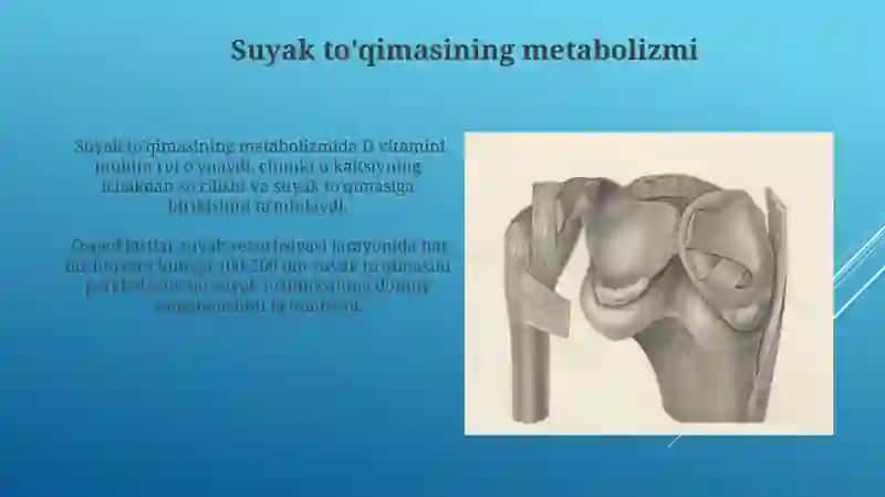 Suyak va Muskul toʻqimasi 3