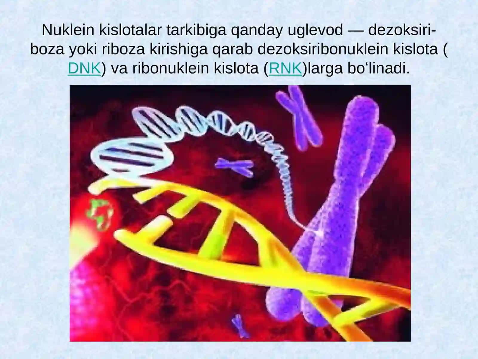 Nuklein kislotalar tuzilishi va funksiyalari. Oqsil biosintezi 3