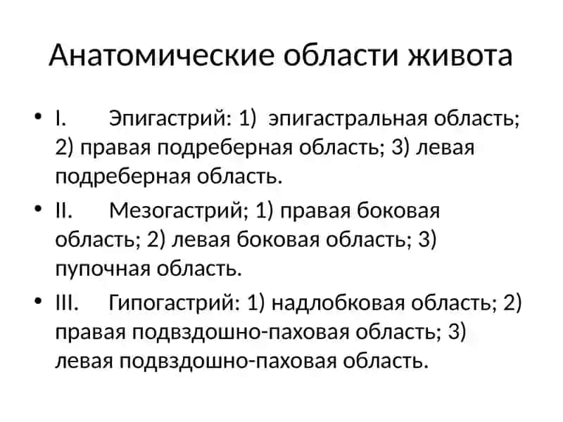 Заболевания органов брюшной полости 3