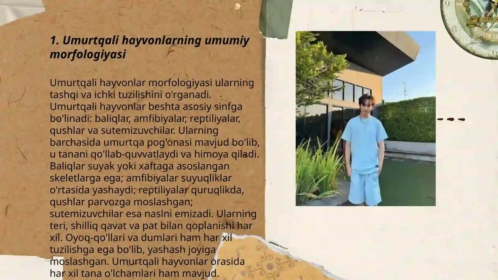 Umurtqalilarda a'zolar va a'zolar tizimi ontofelogenezi 3