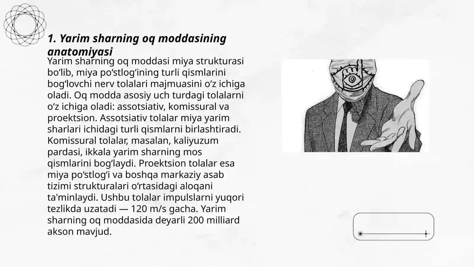 Yarim sharning oq moddasi 3