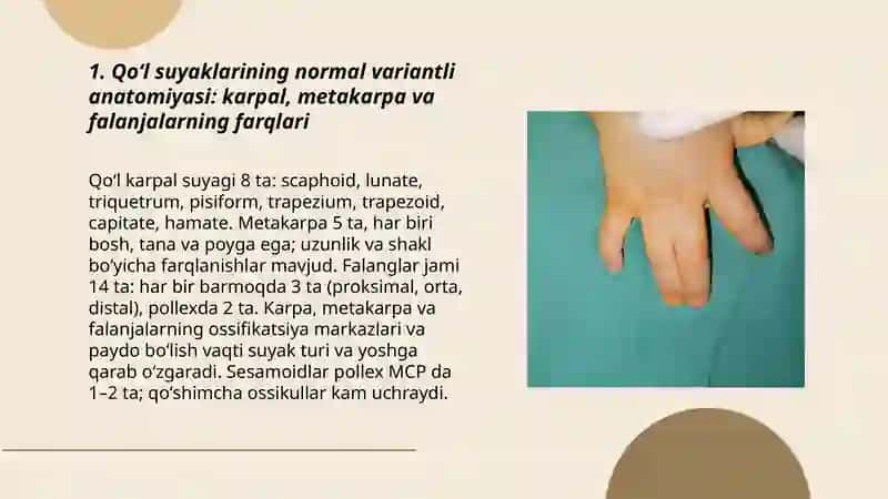 Qoʻl suyaklarining variantli anatomiyasi, rivojlanish nuqsonlari, qoʻl suyaklarining rivojlanishiga ichki va tashqi faktorlarning taʼsiri 3