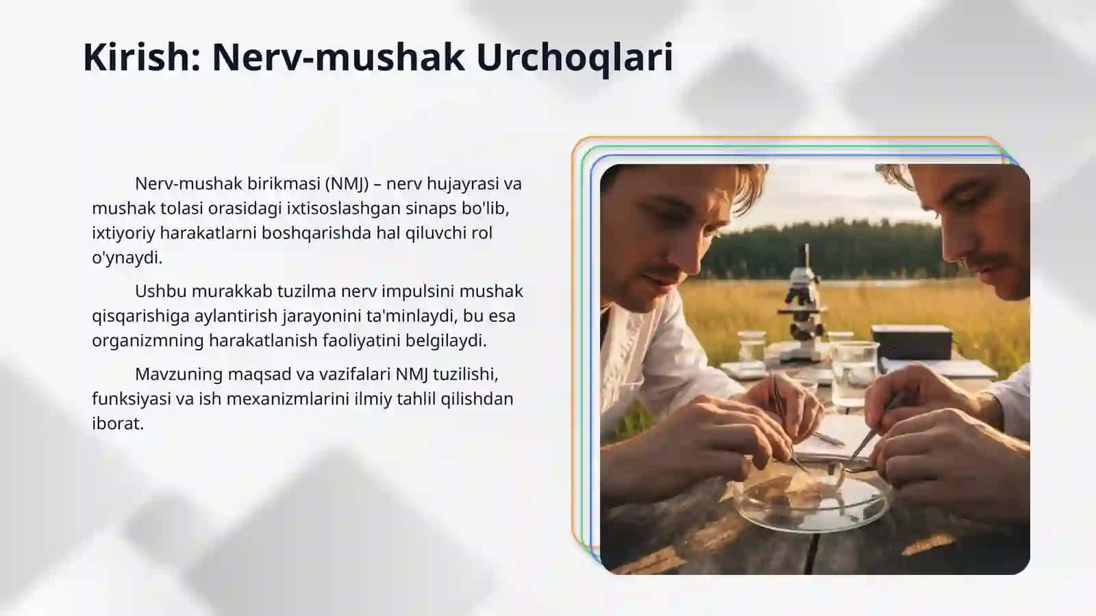 Nerv-mushak urchuqlarining tuzilishi va ishlash prinsipi 3