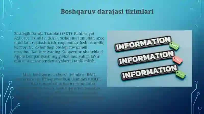 Axborot tizimlarining tasnifi 3