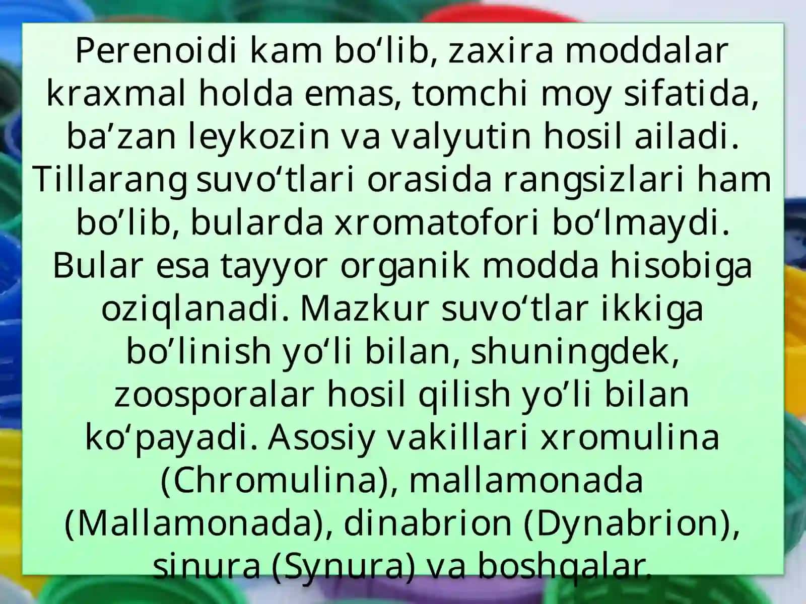 TILLA RANG SUV O'TLAR 3