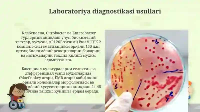 Sitrobakter, Klebsiella, Enterobakteriya 3