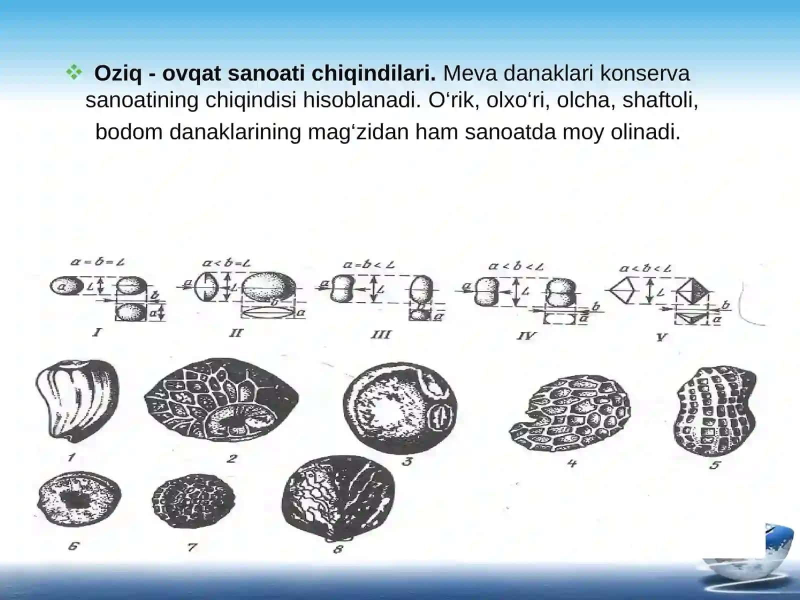 Moyli xom ashyolarning asosiy turlari. Urug’ va urug’lar uyumining  texnologik xossalari 3