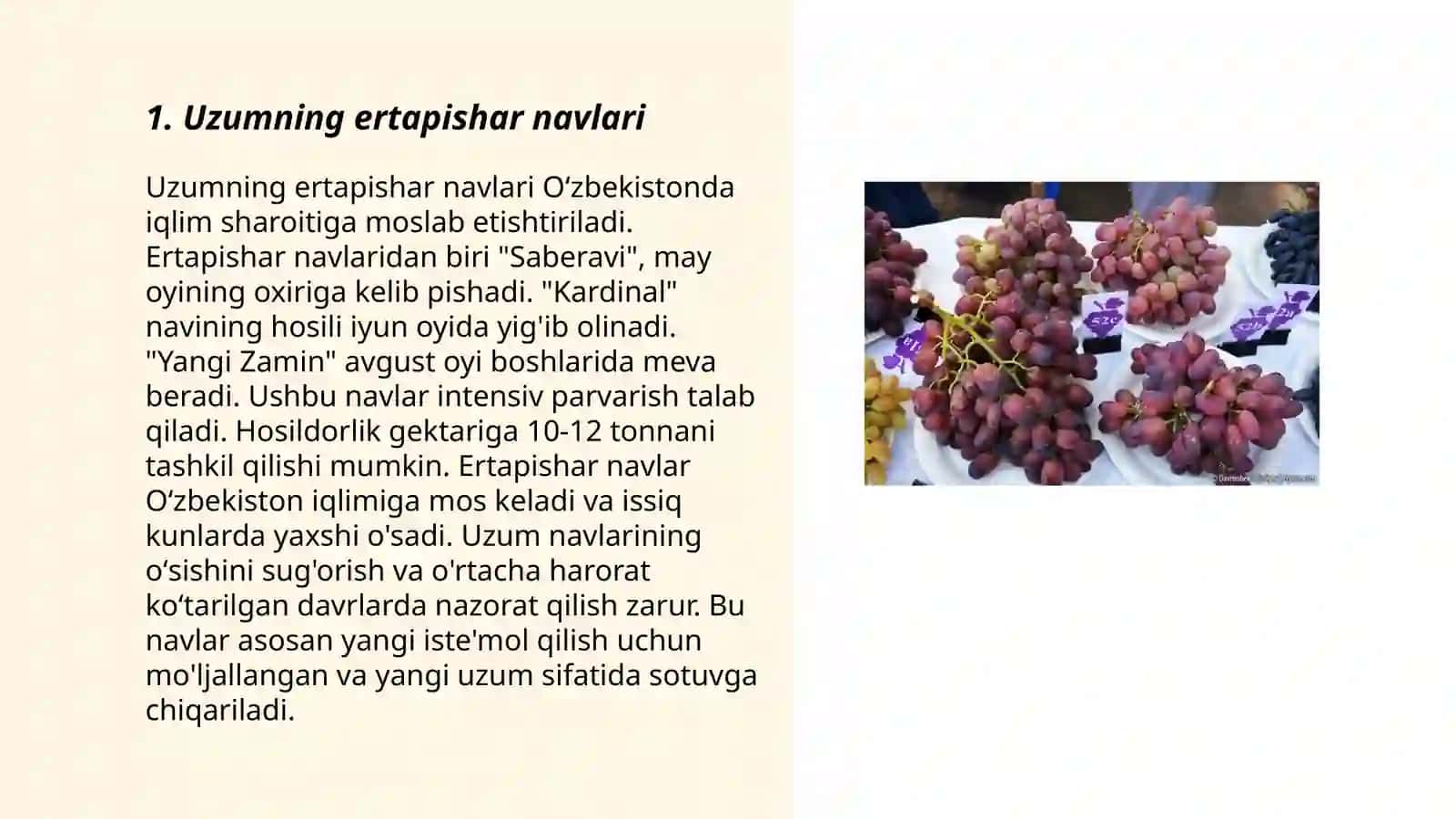 Uzumning juda erta va erta muddatlarda pishadigan navlari 3