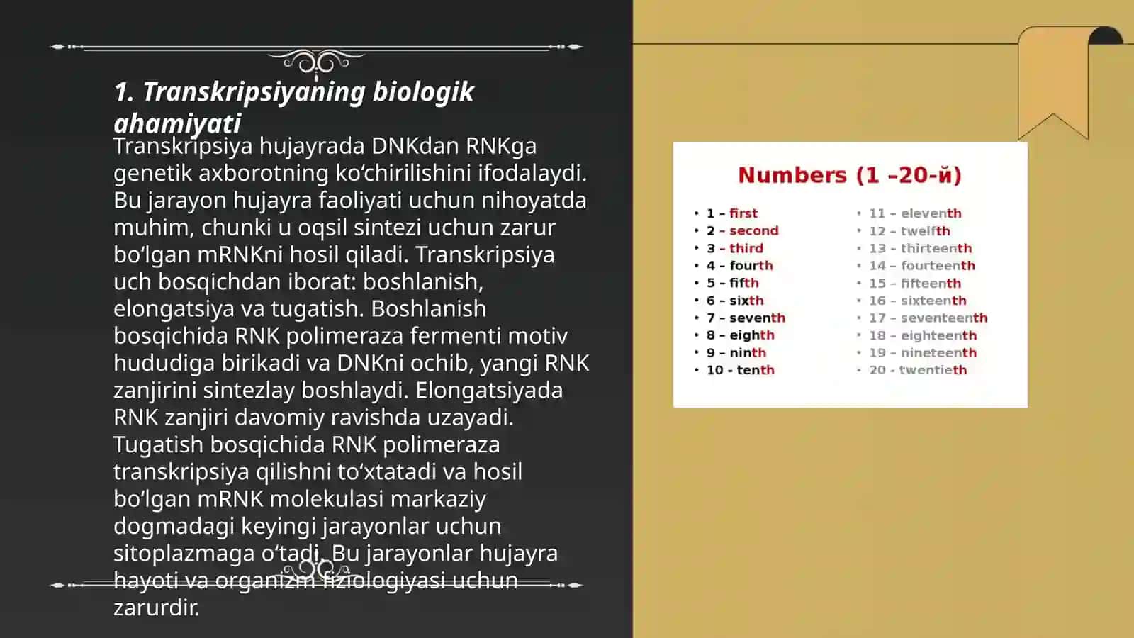 Transkripsiya va uning turlari ahamiyati 3