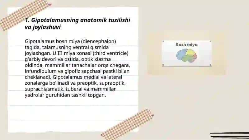 Bosh miya gipotalamusi 3