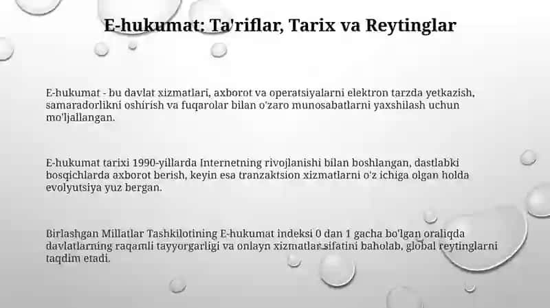 Elektron hukumatni joriy etishning jahon tajribasi 3