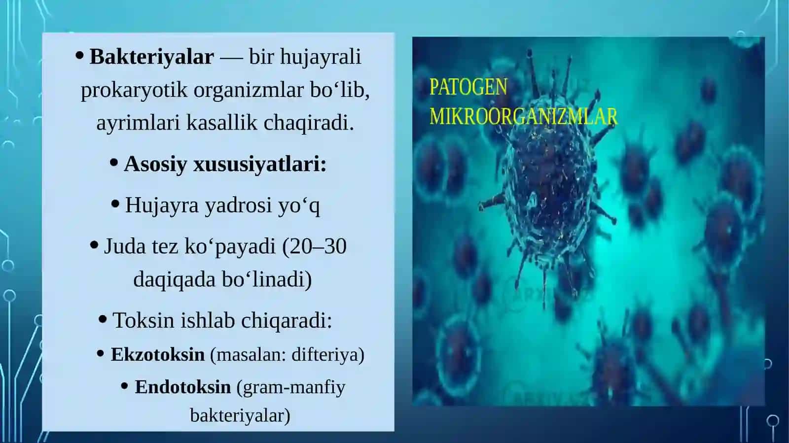 Patogen bakteriyalar va zamburug‘lar 3