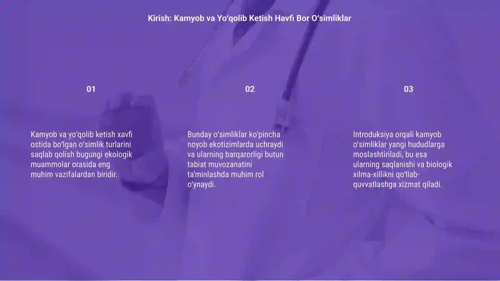 Kamyob va Yo‘qolib Ketish Havfi Bor O‘simliklar 3