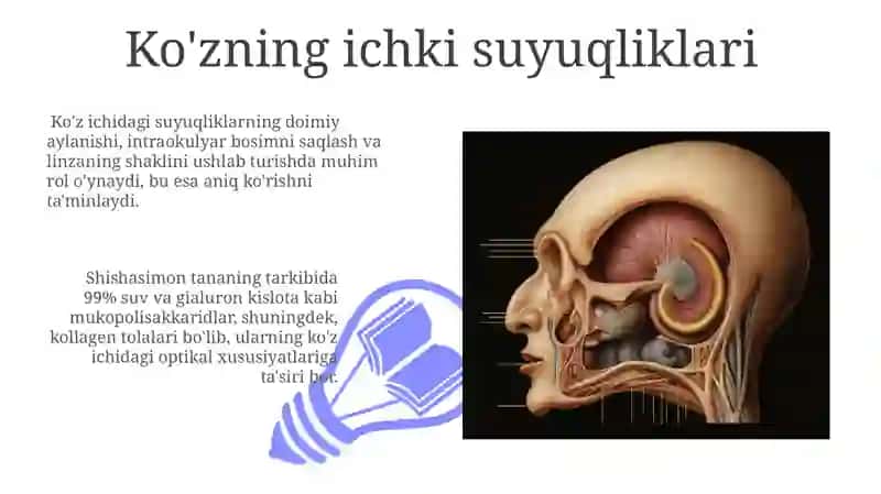 Ko'rish organlarining tuzilishi 3