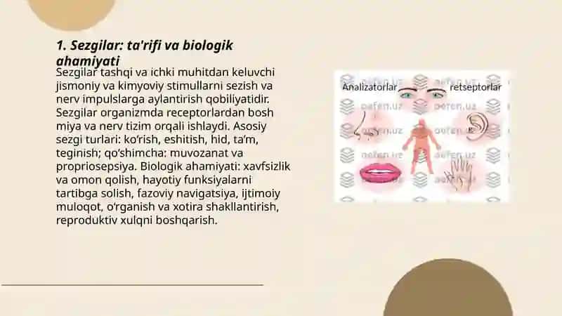 Sezgilar haqida umumiy tushuncha 3