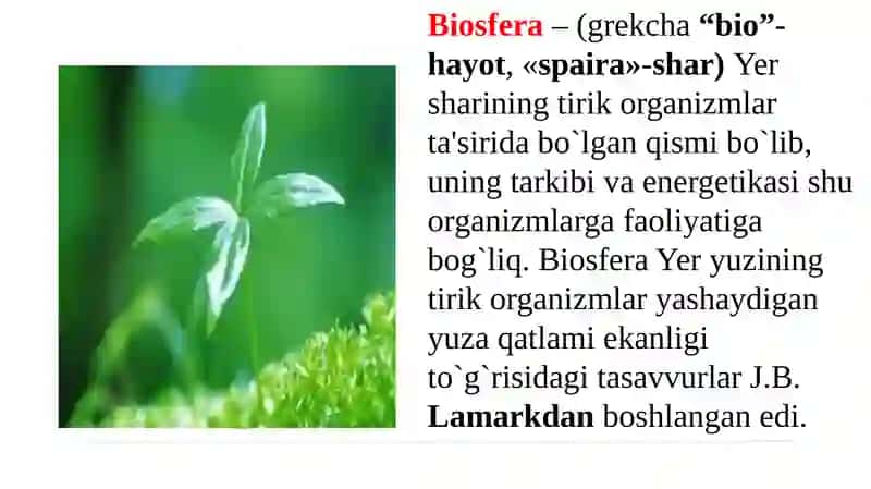 Ekologiya va biosfera 3