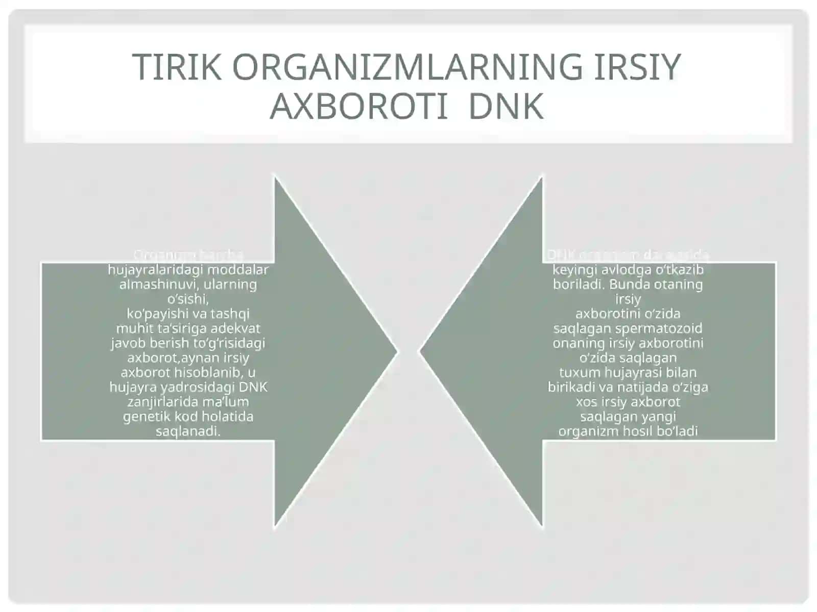 DNK strukturasi 3